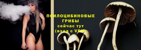 гашик Покачи