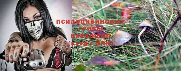 apvp Пересвет