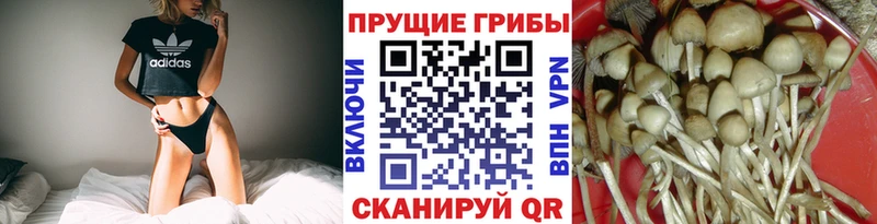 Галлюциногенные грибы MAGIC MUSHROOMS Бодайбо